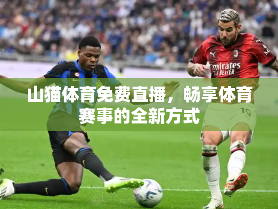 山猫体育免费直播，畅享体育赛事的全新方式