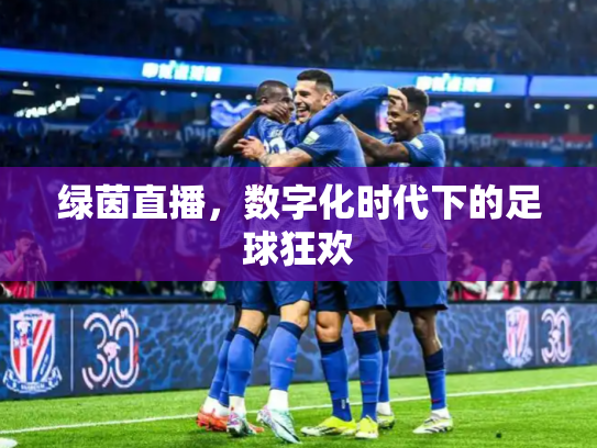 绿茵直播，数字化时代下的足球狂欢