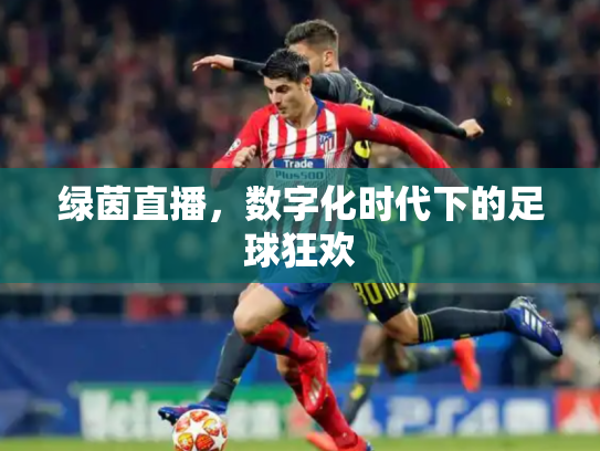 绿茵直播，数字化时代下的足球狂欢