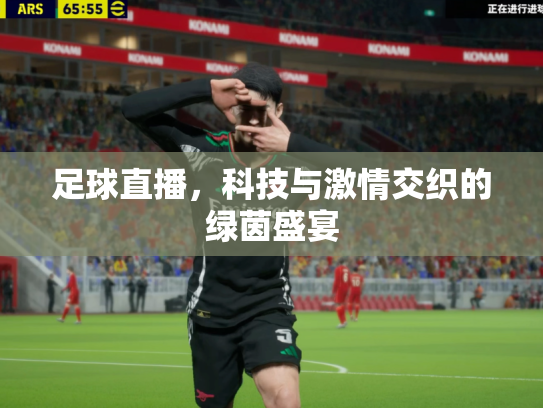 足球直播，科技与激情交织的绿茵盛宴