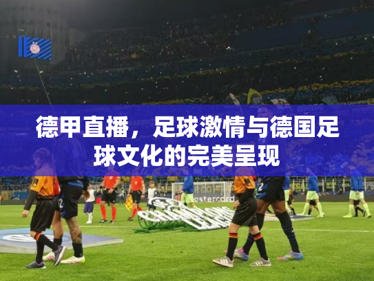德甲直播，足球激情与德国足球文化的完美呈现