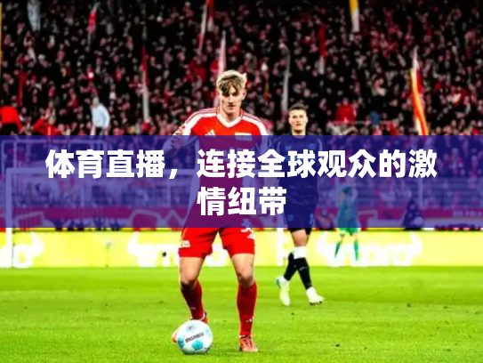 体育直播，连接全球观众的激情纽带