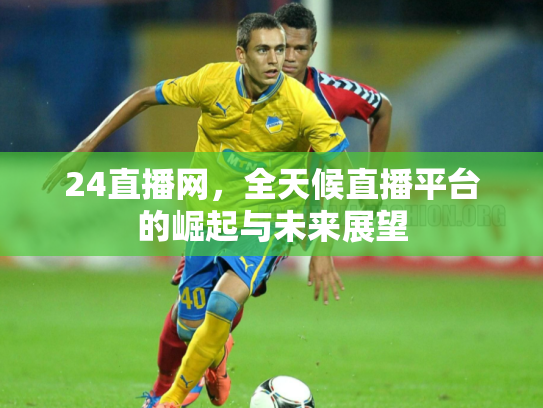 24直播网，全天候直播平台的崛起与未来展望