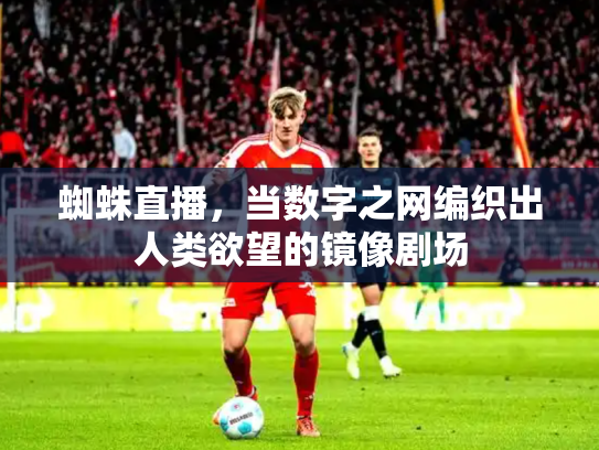 蜘蛛直播，当数字之网编织出人类欲望的镜像剧场