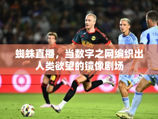 蜘蛛直播，当数字之网编织出人类欲望的镜像剧场