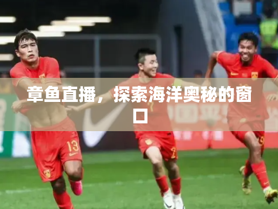 章鱼直播，探索海洋奥秘的窗口