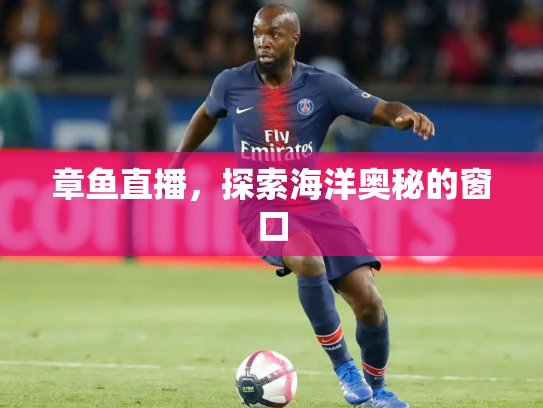 章鱼直播，探索海洋奥秘的窗口
