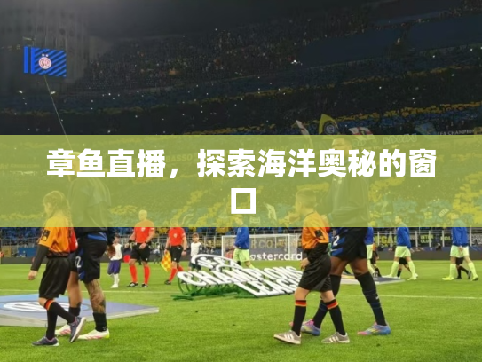 章鱼直播，探索海洋奥秘的窗口