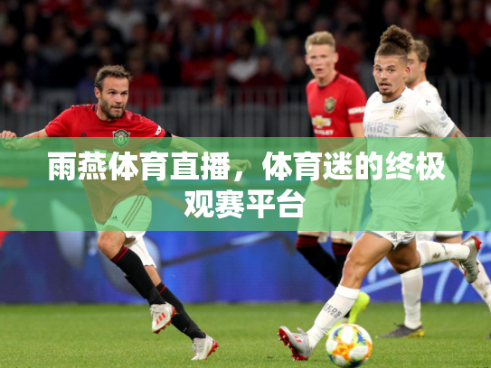 雨燕体育直播，体育迷的终极观赛平台