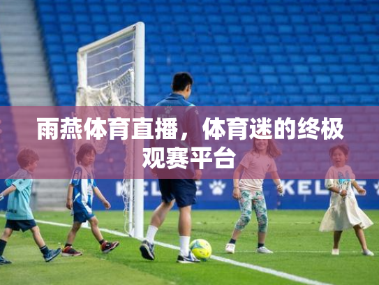 雨燕体育直播，体育迷的终极观赛平台