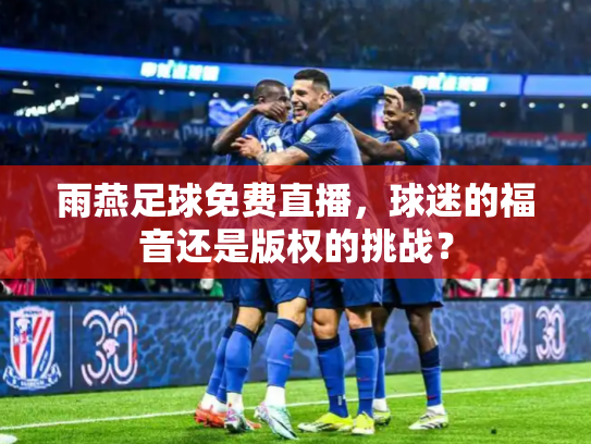 雨燕足球免费直播，球迷的福音还是版权的挑战？