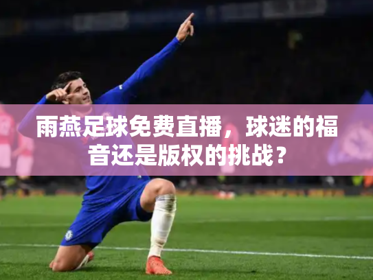 雨燕足球免费直播，球迷的福音还是版权的挑战？