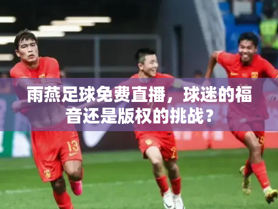 雨燕足球免费直播，球迷的福音还是版权的挑战？
