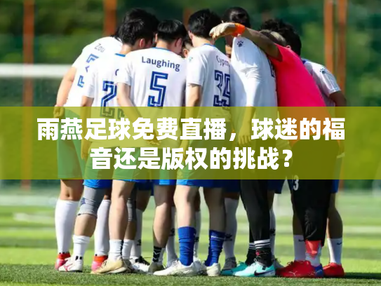 雨燕足球免费直播，球迷的福音还是版权的挑战？