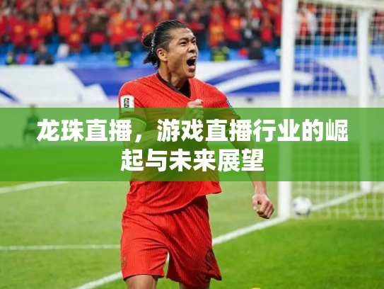 龙珠直播，游戏直播行业的崛起与未来展望