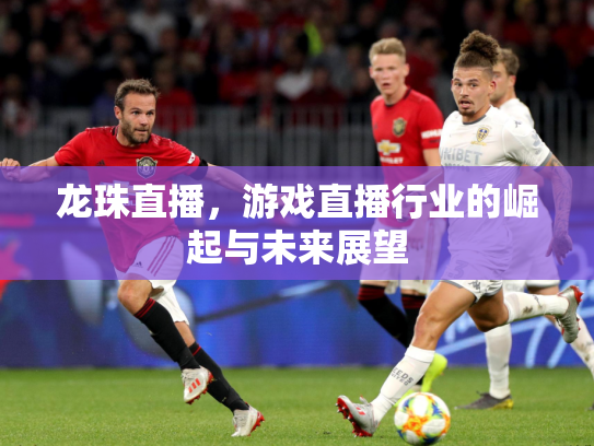 龙珠直播，游戏直播行业的崛起与未来展望