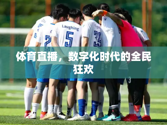 体育直播，数字化时代的全民狂欢