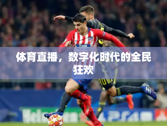 体育直播，数字化时代的全民狂欢