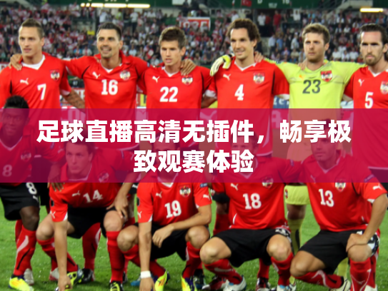 足球直播高清无插件，畅享极致观赛体验