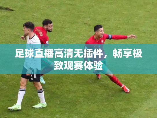 足球直播高清无插件，畅享极致观赛体验
