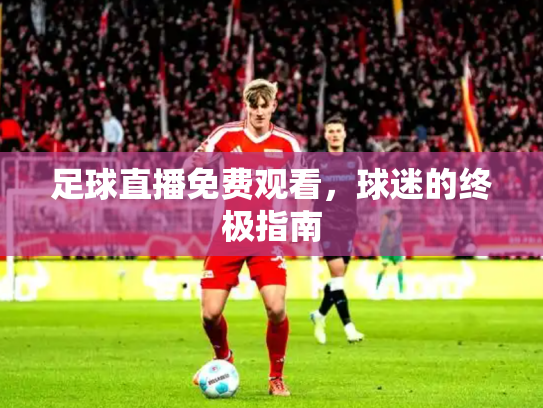 足球直播免费观看，球迷的终极指南