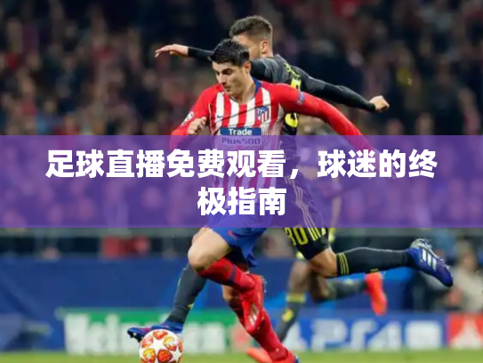 足球直播免费观看，球迷的终极指南
