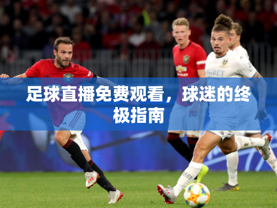 足球直播免费观看，球迷的终极指南