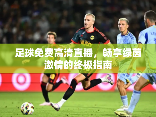 足球免费高清直播，畅享绿茵激情的终极指南