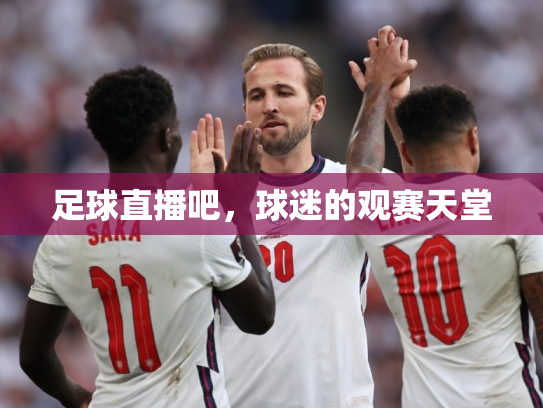 足球直播吧，球迷的观赛天堂