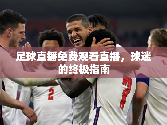 足球直播免费观看直播，球迷的终极指南