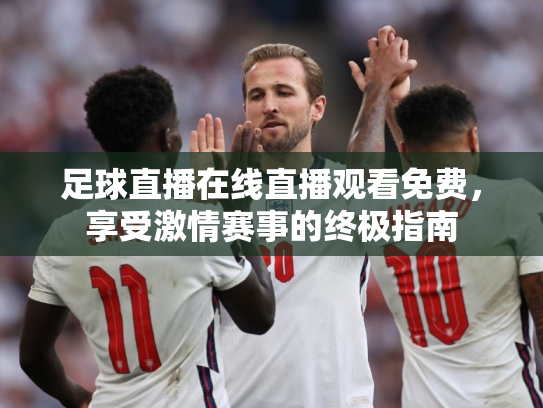足球直播在线直播观看免费，享受激情赛事的终极指南