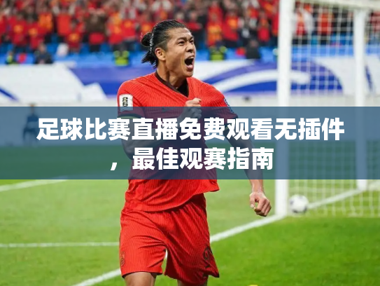 足球比赛直播免费观看无插件，最佳观赛指南
