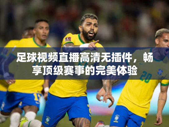 足球视频直播高清无插件，畅享顶级赛事的完美体验