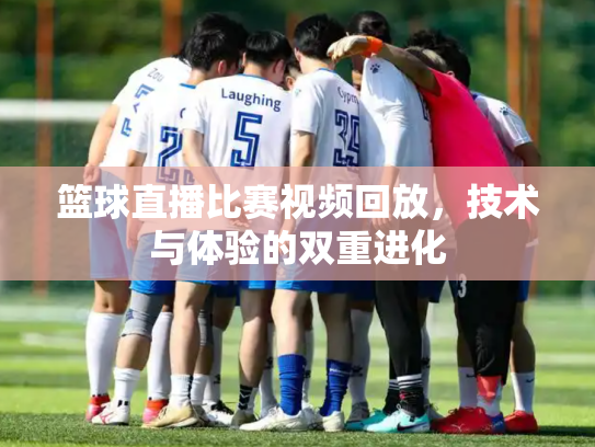 篮球直播比赛视频回放，技术与体验的双重进化
