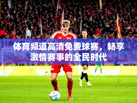 体育频道高清免费球赛，畅享激情赛事的全民时代