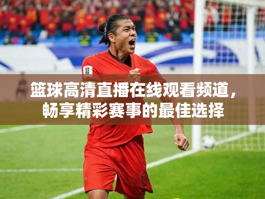 篮球高清直播在线观看频道，畅享精彩赛事的最佳选择
