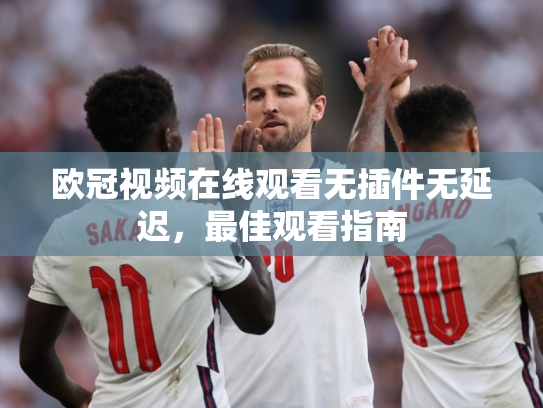 欧冠视频在线观看无插件无延迟，最佳观看指南