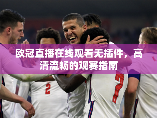 欧冠直播在线观看无插件，高清流畅的观赛指南