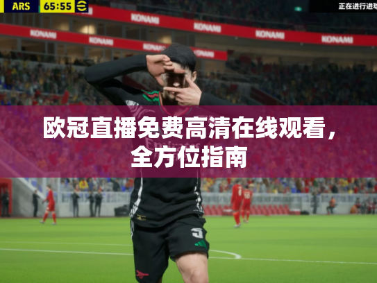 欧冠直播免费高清在线观看，全方位指南
