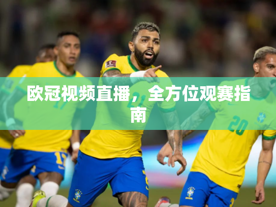 欧冠视频直播，全方位观赛指南