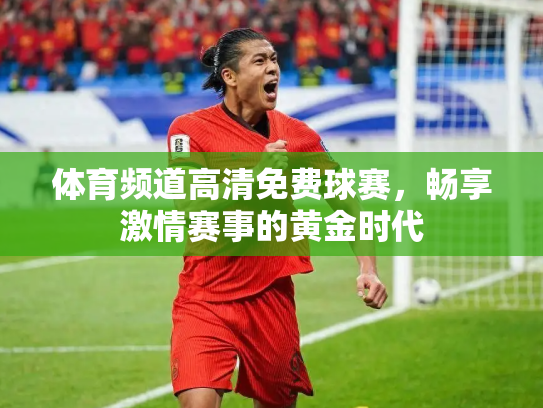 体育频道高清免费球赛，畅享激情赛事的黄金时代