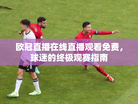 欧冠直播在线直播观看免费，球迷的终极观赛指南
