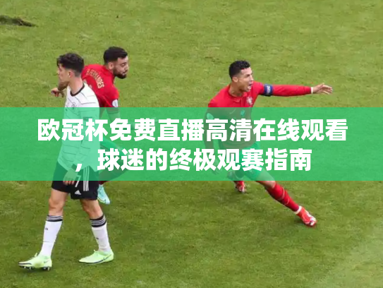 欧冠杯免费直播高清在线观看，球迷的终极观赛指南