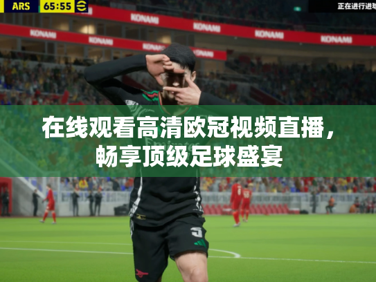 在线观看高清欧冠视频直播，畅享顶级足球盛宴