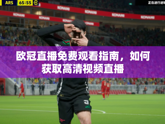 欧冠直播免费观看指南，如何获取高清视频直播