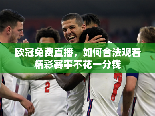 欧冠免费直播，如何合法观看精彩赛事不花一分钱