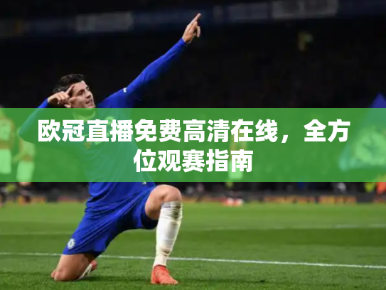 欧冠直播免费高清在线，全方位观赛指南
