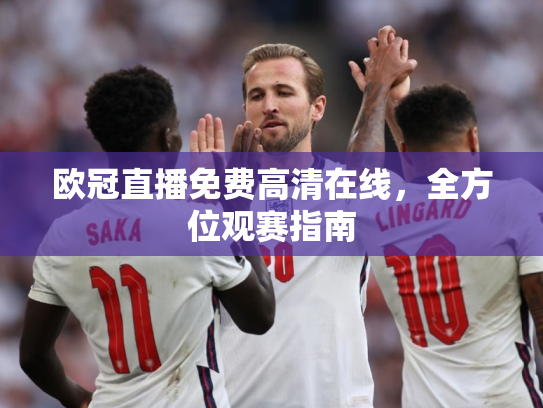 欧冠直播免费高清在线，全方位观赛指南