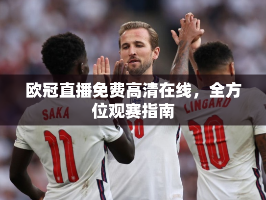 欧冠直播免费高清在线，全方位观赛指南