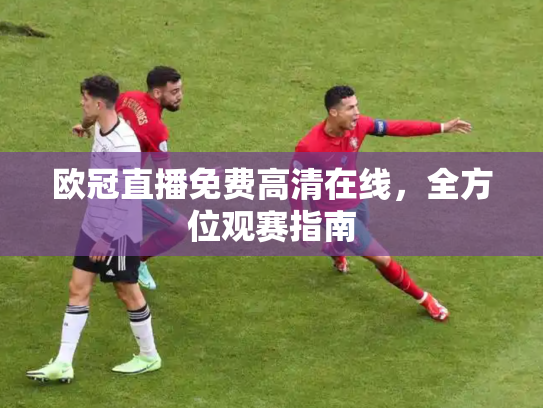 欧冠直播免费高清在线，全方位观赛指南